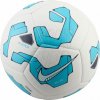 Futbalová lopta Nike Pitch FZ2636-101