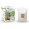 Esteban Paris Parfums NATURE – ORANGE AND GREEN TEA VONNÁ SVIEČKA 180 g
