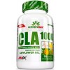 Amix Nutrition CLA 1000 90 kapslí