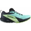 Dámska bežecká obuv Salomon Sense Ride 5 Gtx Blue Radiance / Green Ash / India Ink UK 4,5