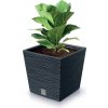 Prosperplast kvetináč Furu Square Low Antracit 30 cm
