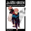 Viz Media Jujutsu Kaisen: The Official Character Guide
