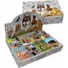 DONAU Miniblok Divé zvieratá 3D 6 4x8 25 cm mix motívov display 80 ks