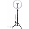 Foto svetlo RIO Studio RGB Beauty ring light (RL12)