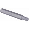 Bity TORX, různé velikosti, úchyt 5/16