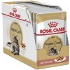 Royal Canin Cat Maine Coon Gravy 12x85 g