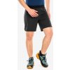 Bežecké kraťasy Dynafit Alpine Pro 2/1 Shorts - black