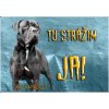 Pozorpes.sk, výstražná tabuľka (Cane Corso)