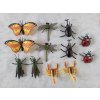 MAXITOY Hmyz, velikost 9 - 13 cm, 12 kusů, 6 druhů, naučný set