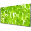 Nástenný panel Listy príroda 100x50 cm