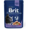 Brit Premium Cat kapsa with Cod Fish 100g - 1ks