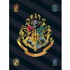Javoli Fleecová deka Harry Potter s erbom školy čarodejníckej na Rokforte Polar Fleece