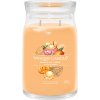 Yankee Candle Mango Ice Cream signature 567 g