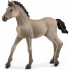 Schleich 13948 Klisna Criollo Definitivo