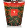Baobab Collection Arty Flowers Poppies vonná sviečka 1000 g