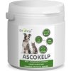 Dromy Ascokelp 800 g