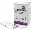Rosen Gasterin pastilky 30 ks