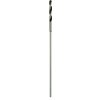 DeWALT vrták do dreva na debnenie 20 x 600 mm DT4876