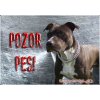 Pozorpes.sk, výstražná tabuľka (Stafordšírsky teriér)