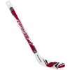 Inglasco Sherwood Plastová Minihokejka Arizona Coyotes NHL Player