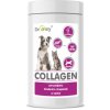 Dromy doplnok pre zvieratá Collagen 160 tbl. - podporu kĺbových chrupaviek a väzivových tkanív