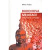 Buddhova meditace všímavosti a vhledu