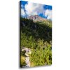 Vertikálny foto obraz na plátne Morské oko Tatry 50x100 cm