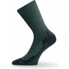 Lasting WHI 620 vlněné ponožky zelené