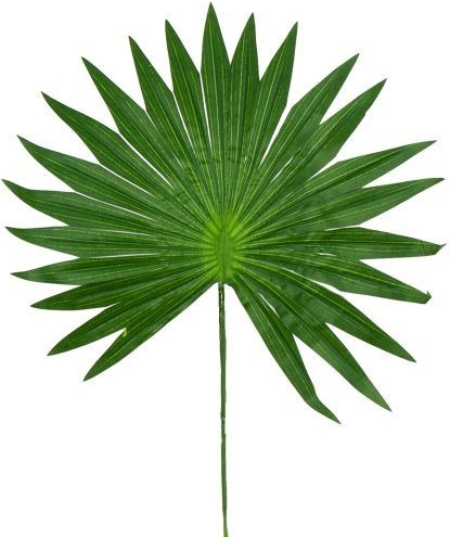 Umelý palmový list 50 cm