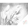 Vymalujsisam.sk Bodkovanie - Tulipány a lienka Farba: Čierna, Veľkosť: 40x50cm, Rám: Na kartónovej doske