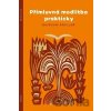 Přímluvná modlitba prakticky - Baudouin Ardillier