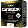 SALUTEM Carnosine komplex 900 mg 120 tabliet