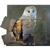 Just Jigsaws 647 Sova a jej životný cyklus - drevené vrstvené puzzle 19 dielov
