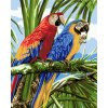 Amparo Miranda® Maľovanie podľa čísiel Papagáje Ara DX1264