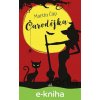 E-kniha Čarodějka - Martin Čáp