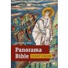 Panorama Bible Starý zákon - Stephen J. Binz
