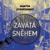 Zavátá sněhem (Martin Stručovský; Martin Preiss)