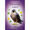 Zvierací záchranári: Poranený sokol - Michal Belšán, Zuzana Slánská (ilustrátor)