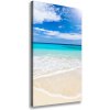 Vertikálny foto obraz na plátne Tropická pláž 50x100 cm
