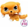 Littlest Pet Shop: figúrka č. 10 - španiel
