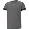 Detský dres TeamRise Jr 704938 13 - Puma 140
