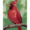 ZUTY Maľovanie podľa čísel - ČERVENÝ VTÁČIK (MYROSLAVA VOLOSCHUK) Rámovanie: bez rámu a bez vypnutia plátna, Rozmer: 40x50 cm