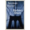 Barbary Shore