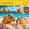 Little Fun 2027 - nástěnný kalendář - autor neuvedený