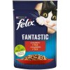 Felix Fantastic s hovädzím v želé 85 g