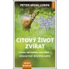 Citový život zvířat