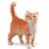 Safari Ltd. Safari Smútočná mačka