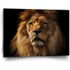 Sablio Obraz Lev - 90x60 cm