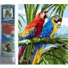 Norimpex Diamantové maľovanie Papagáje vo vetvách 30 x 40 cm