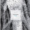 Polaris - Ladislav Lipcsei